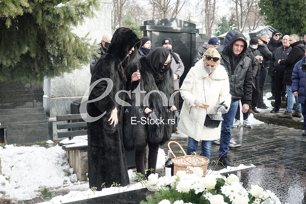 Svetlana Ceca Raznatovic, Anastasija Raznatovic i Lidija Ocokoljic