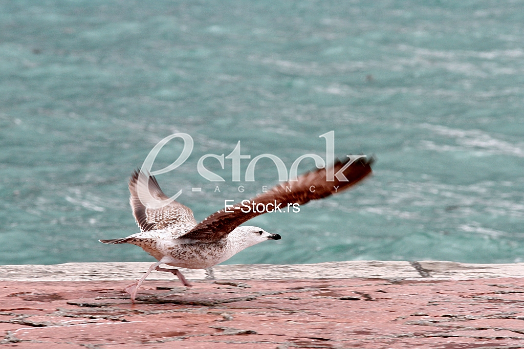 Storms in Montenegro Storms in Montenegro