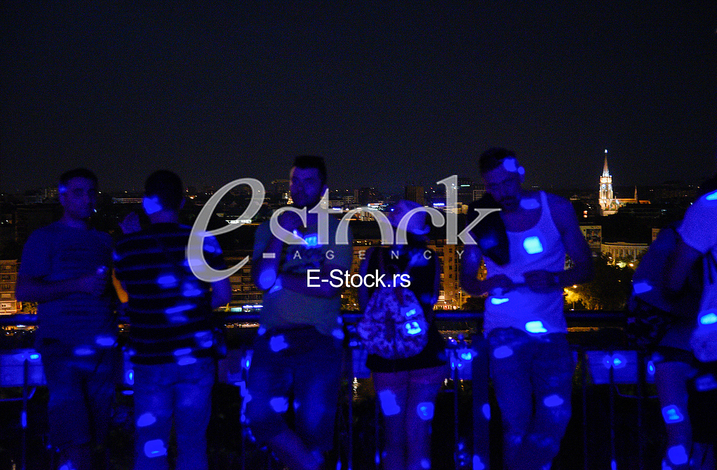 Exit festival