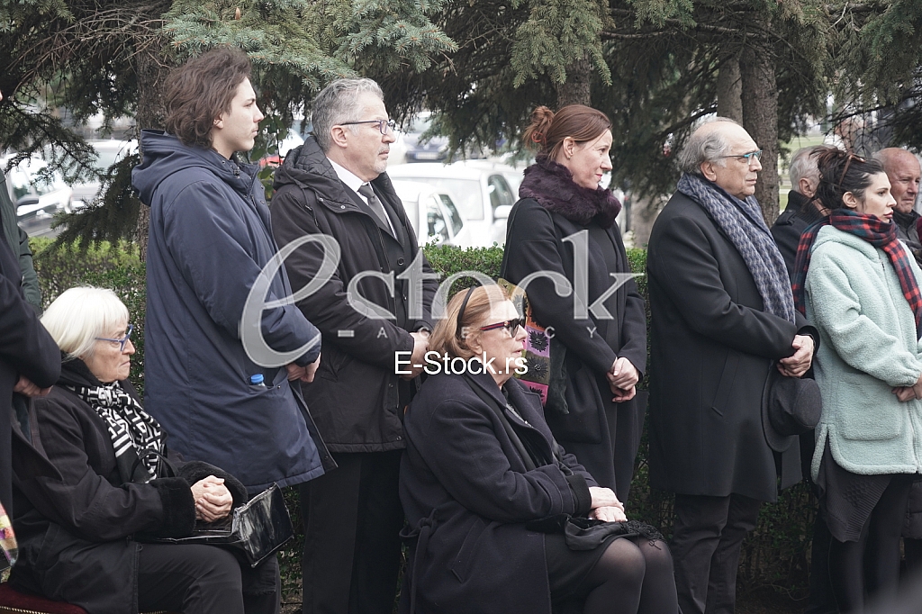 Milica Mihajlovic i Vojislav Voja Brajovic
