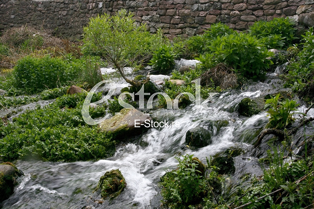 Mountain river flowing at summer forest landscape