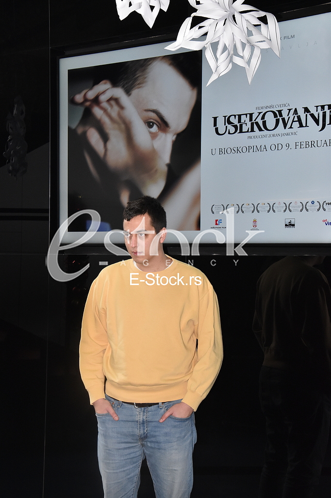 Sinisa Cvetic
