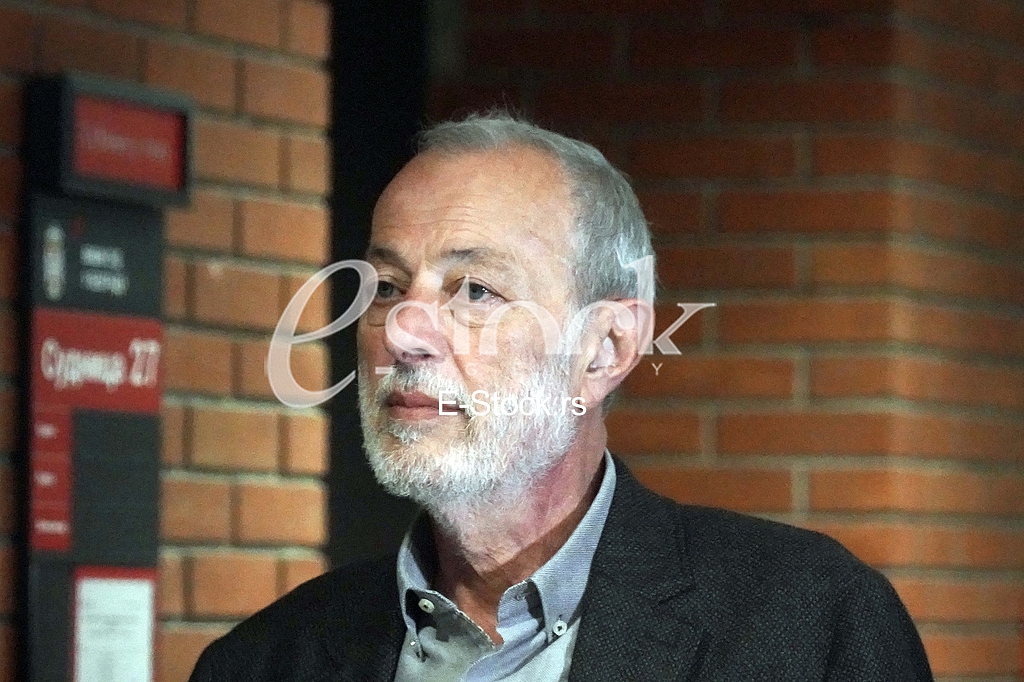 Miroslav Aleksic