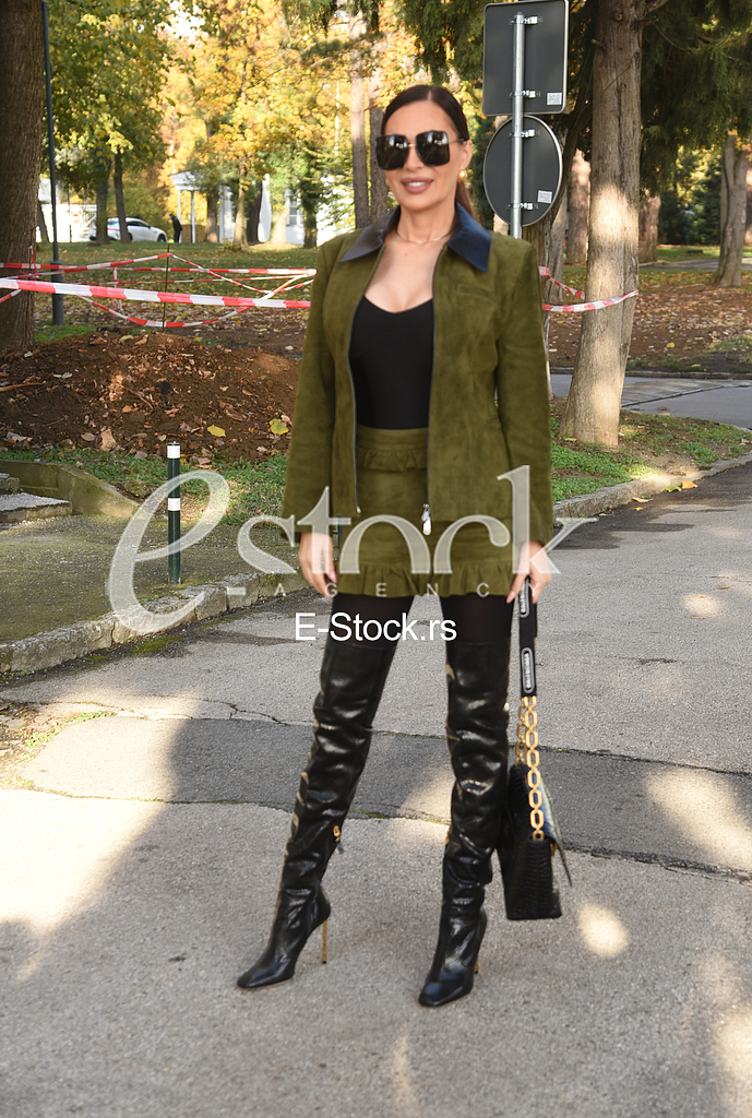 Svetlana Ceca Raznatovic