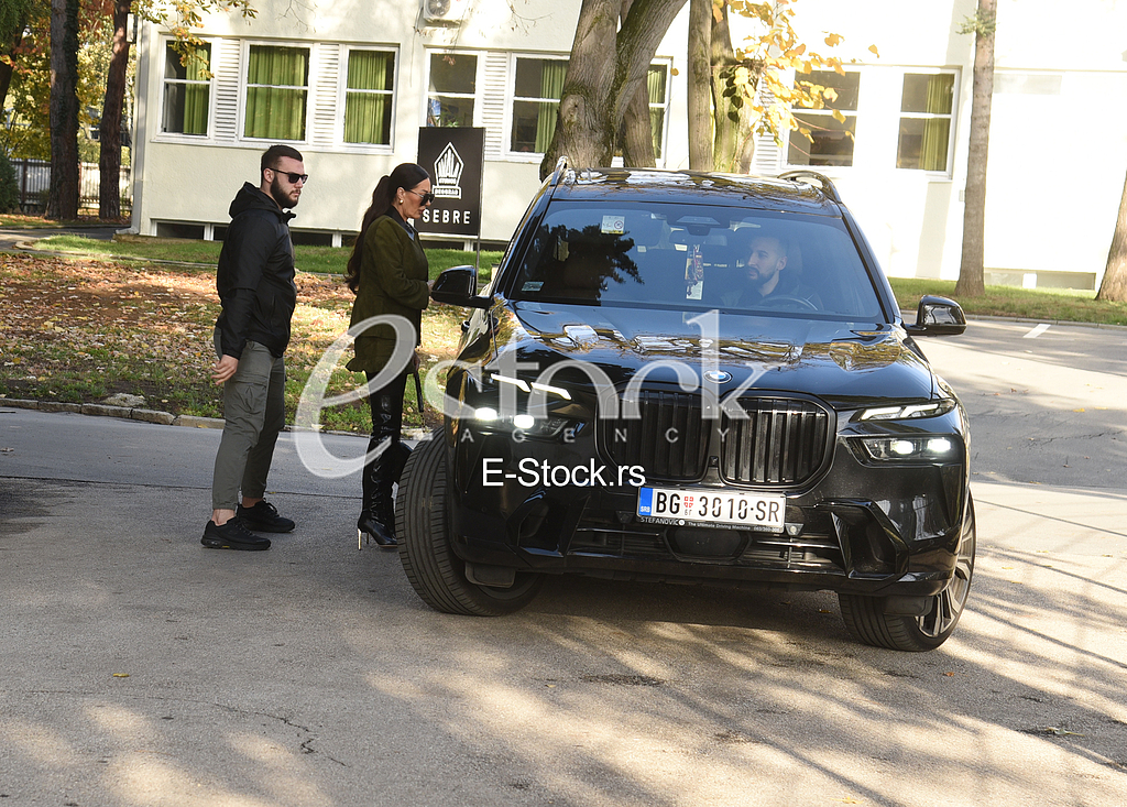 Svetlana Ceca Raznatovic