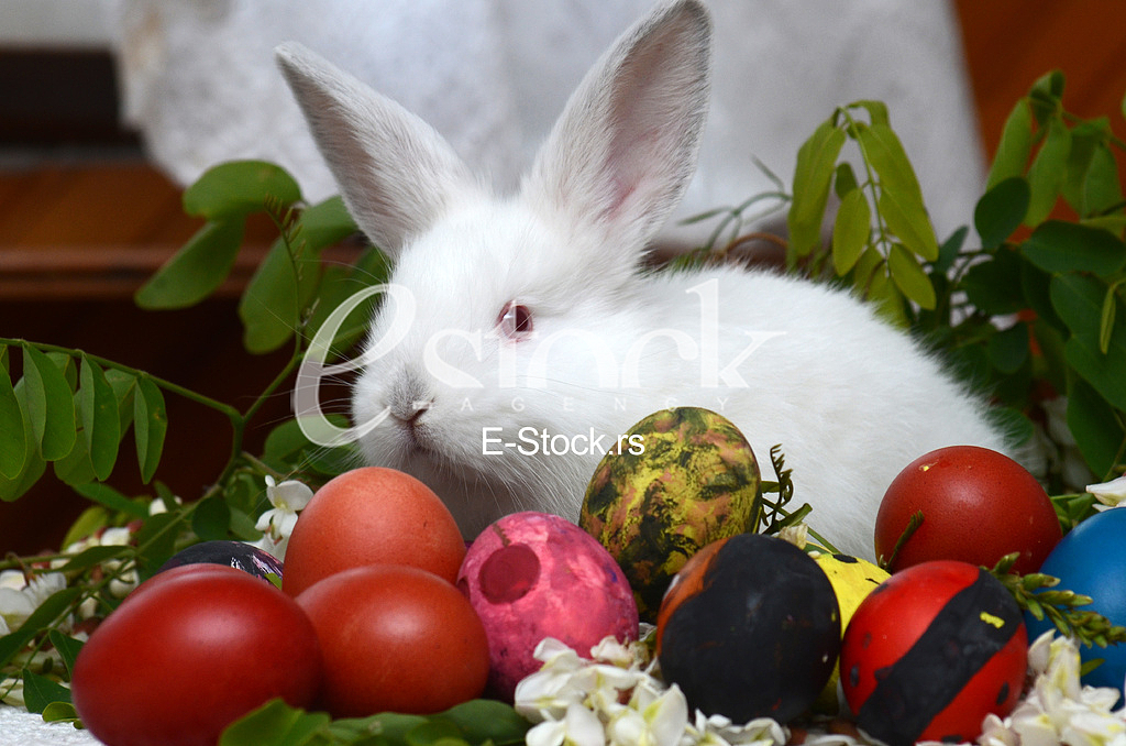 Easter eggs Easter eggs