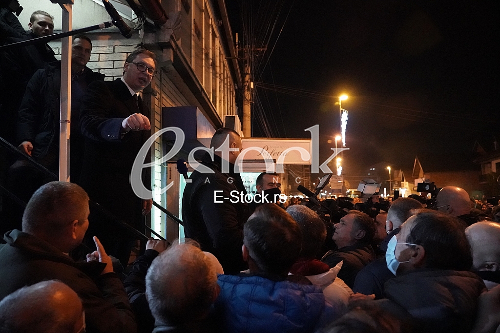 Vucic u Borci