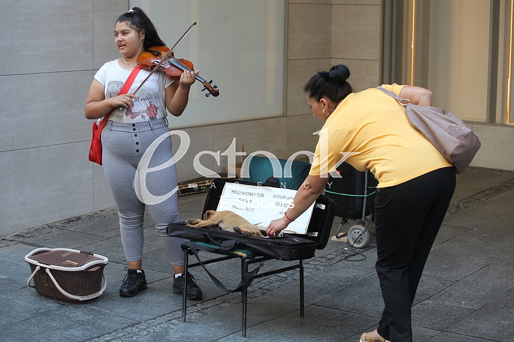 Vrucina u Beogradu Vrucina u Beogradu