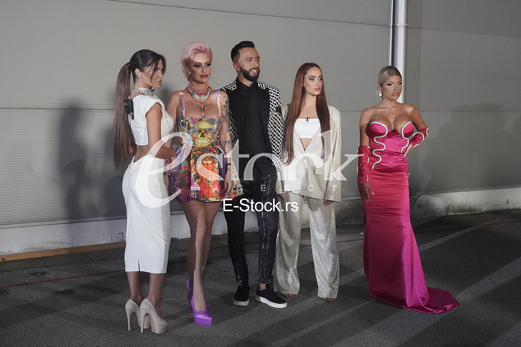 Ana Radulovic, Dusica Jakovljevic, Darko Tanasijevic, Masa Mihailovic i Ivana Sopic