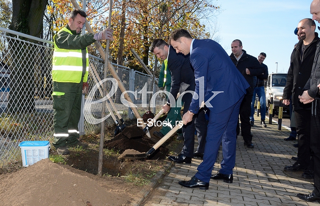 planting trees, military barracks 