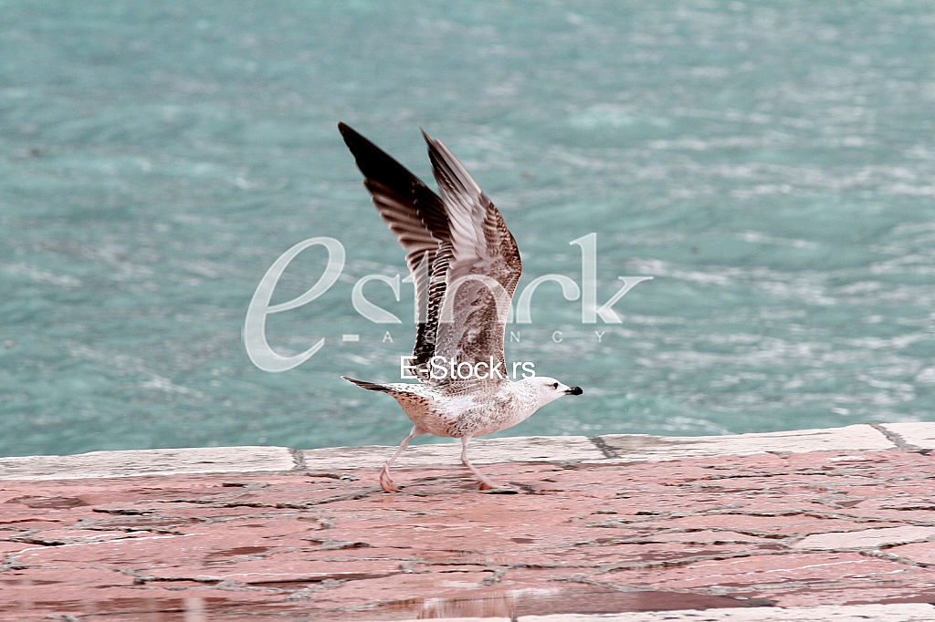 Storms in Montenegro Storms in Montenegro