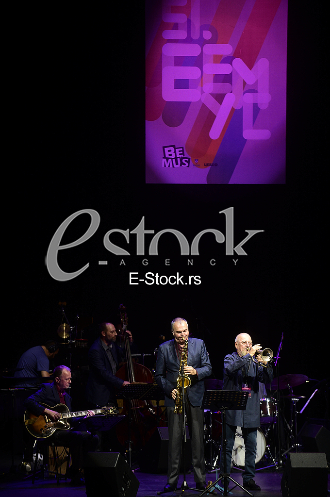 Stjepko Gut