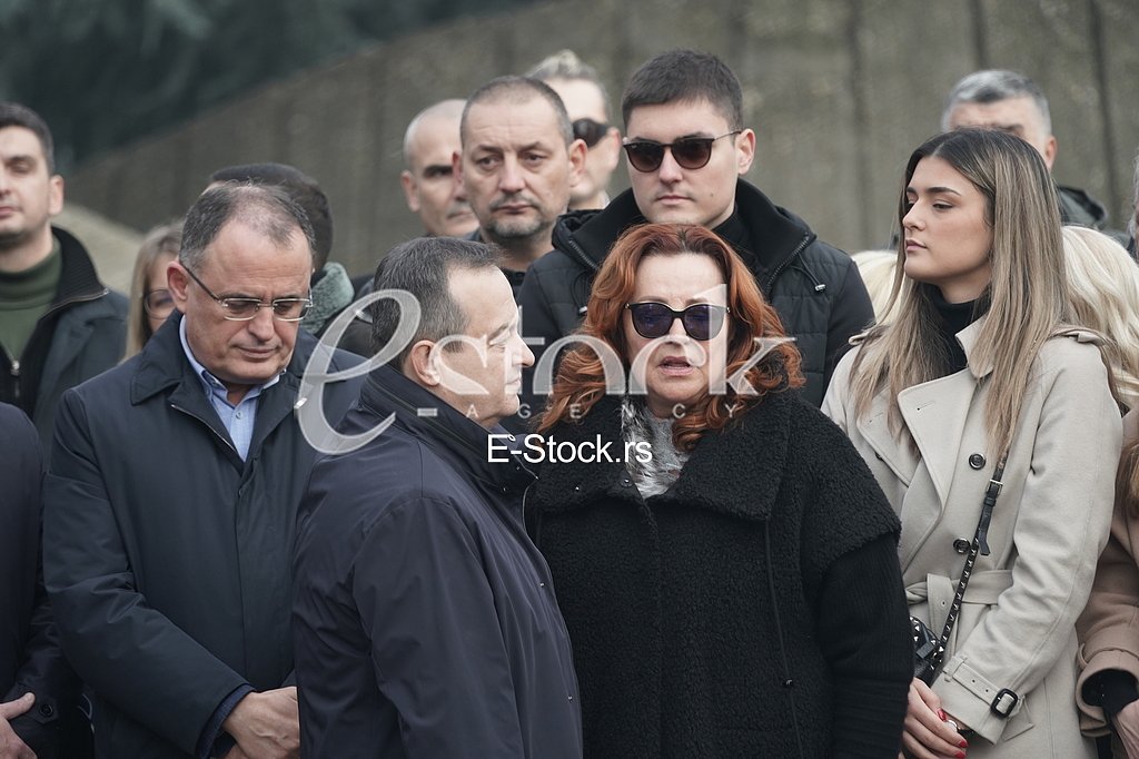 Vladan Zagradjanin, Ana Bekuta i Ivica Dacic