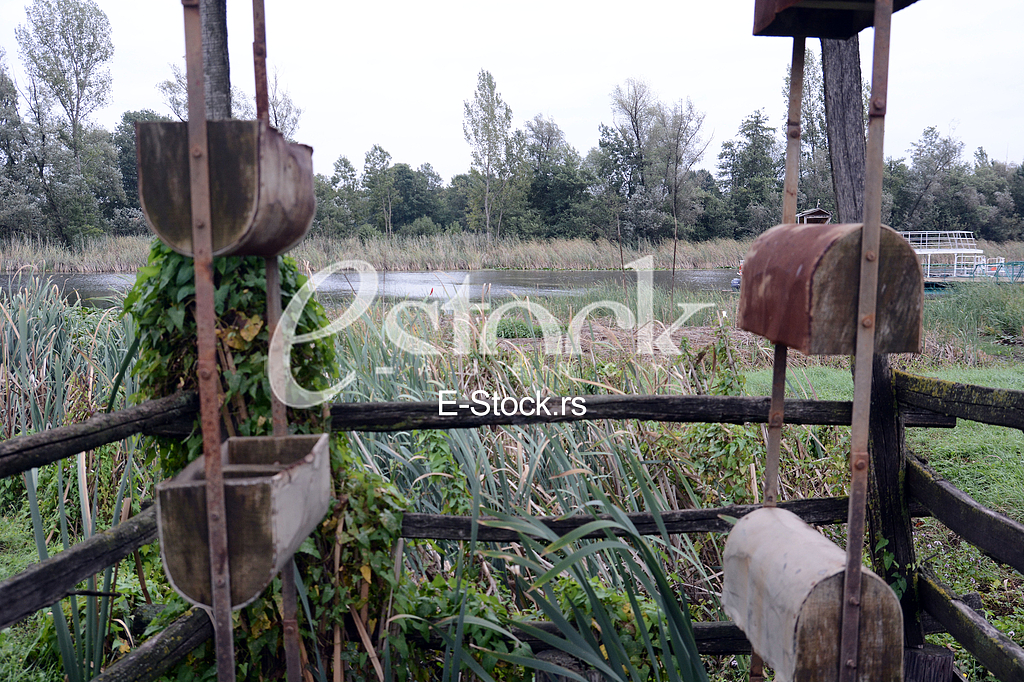 Zasavica, special nature reserve.