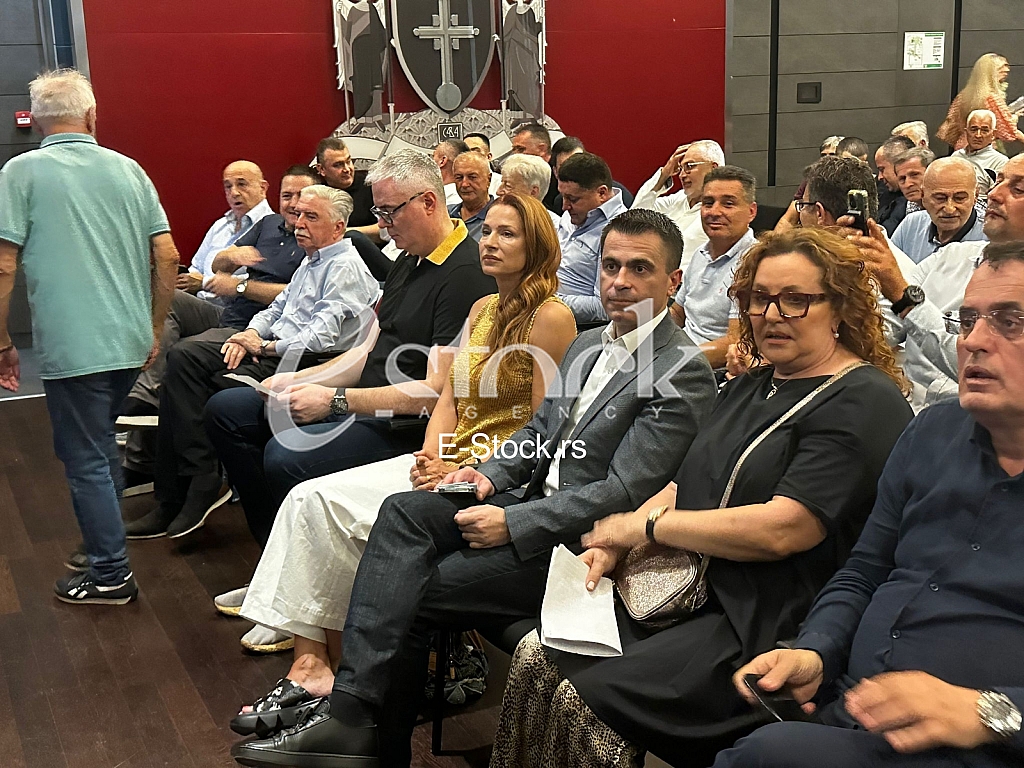 Djordje Milicevic, Ana Bekuta i Vladan Zagradjanin
