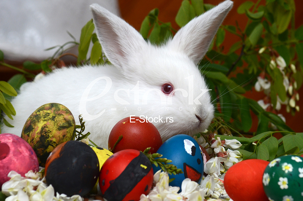 Easter eggs Easter eggs