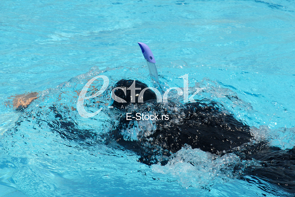 World Championship in freediving