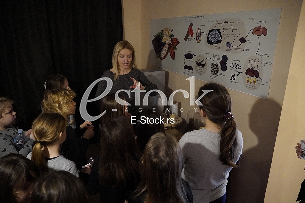 Muzej cokolade Muzej cokolade