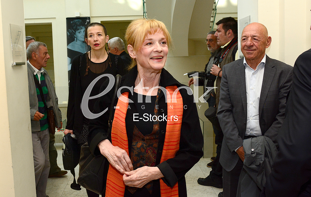 presentation of the book of Velimir Bata Zivojinovic 