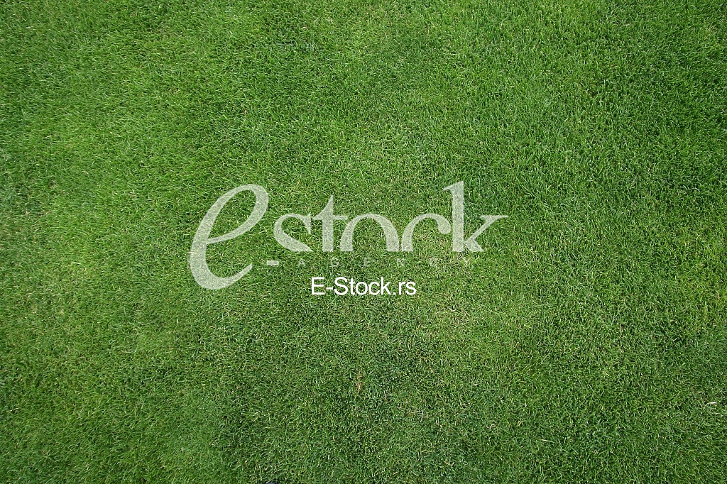 green grass texture or background of golf course and football field