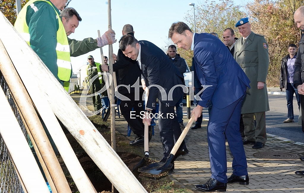 planting trees, military barracks 
