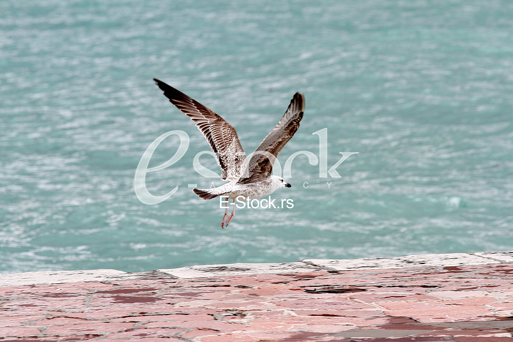 Storms in Montenegro Storms in Montenegro