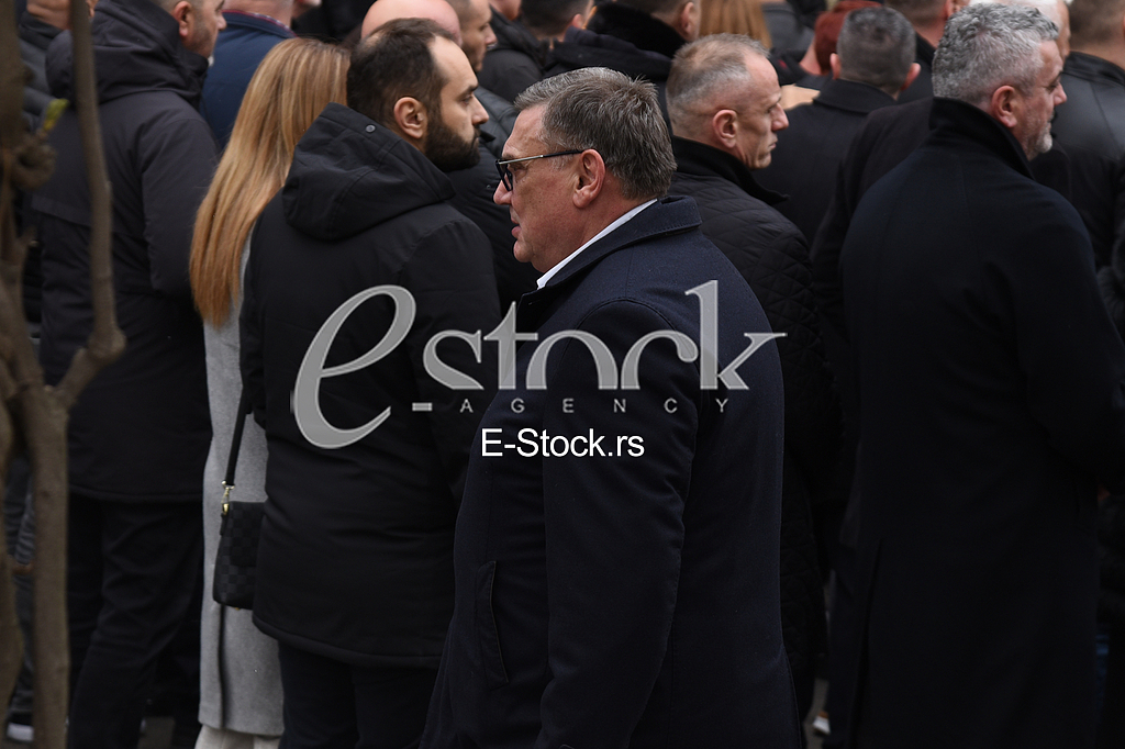 zoran drobnjak