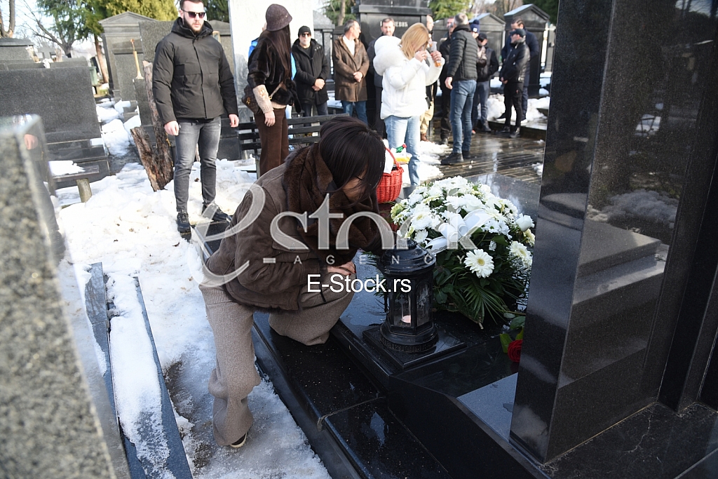 Svetlana Ceca Raznatovic