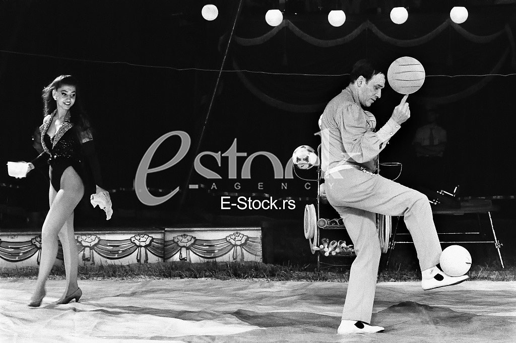 Circus