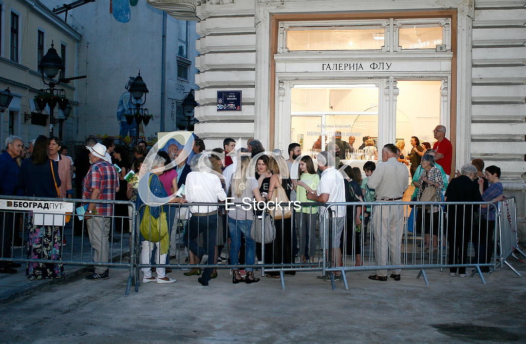 andjelka bojovic, galerija fakulteta likovnih umetnosti