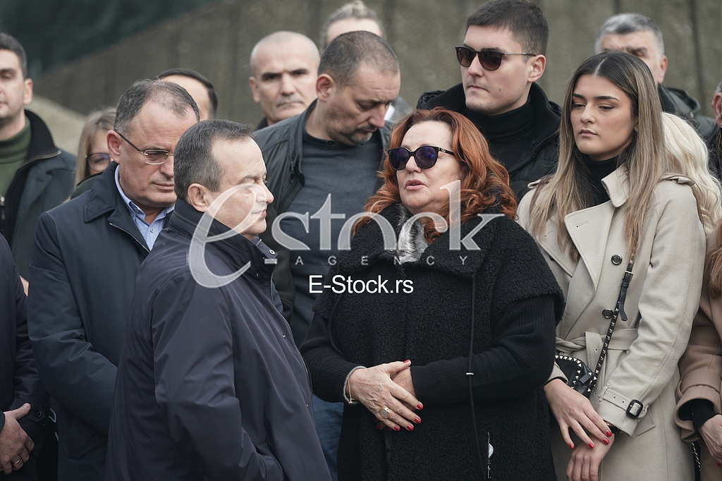Vladan Zagradjanin, Ana Bekuta i Ivica Dacic