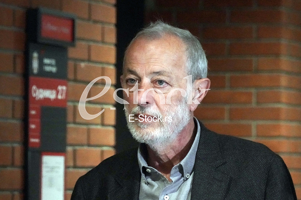 Miroslav Aleksic