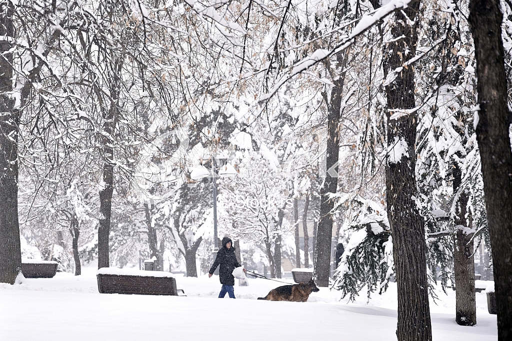 Zima_Photo e-stock Katarina Mihajlovic