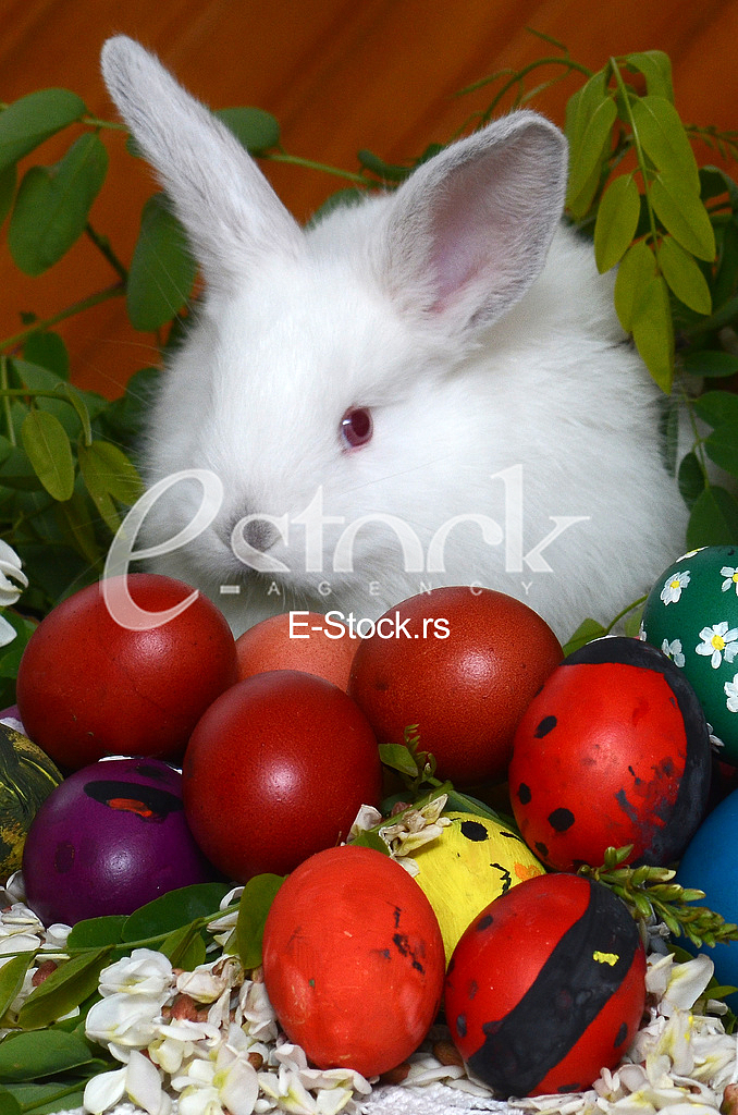 Easter eggs Easter eggs