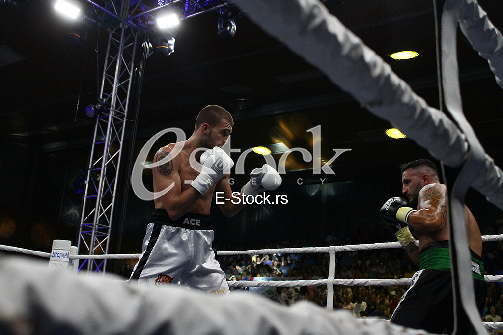 dragan markovic palma, jagodina, bokserski turnir, veljko raznatovic