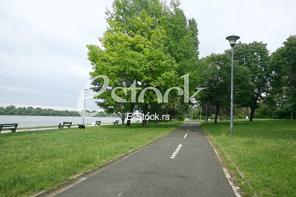 Footpath reached in the trees along the river with benches