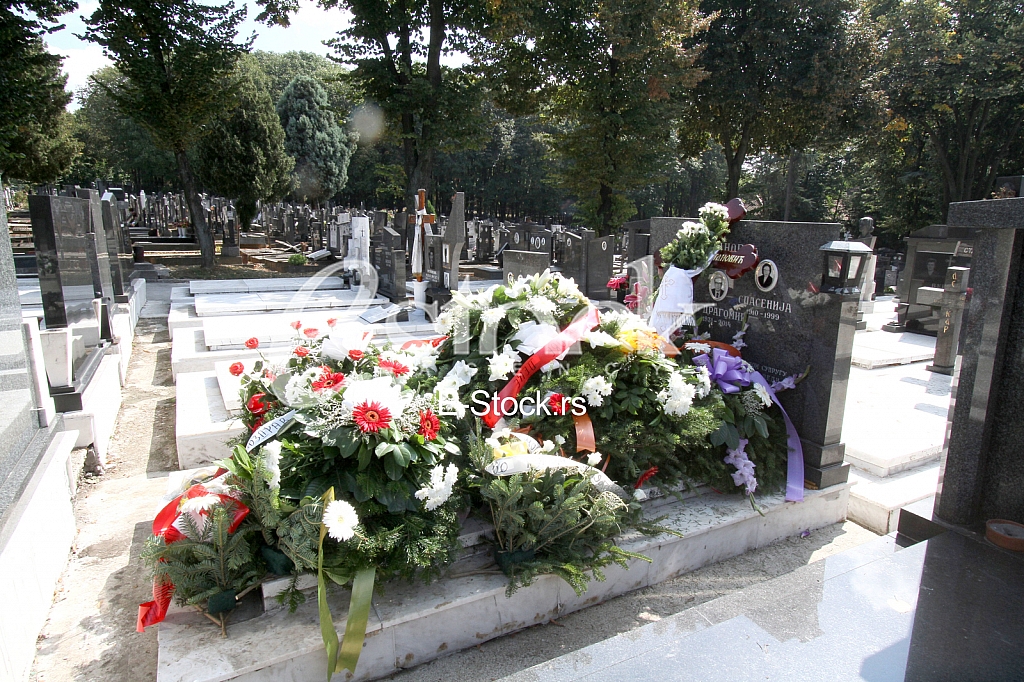 Srdjan Cvetanovic
Srdjan Cvetanovic