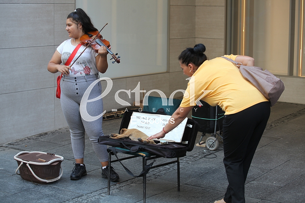 Vrucina u Beogradu Vrucina u Beogradu