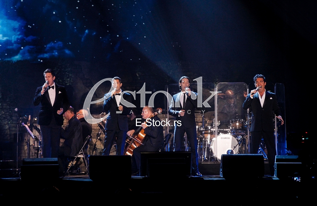 Il DIvo