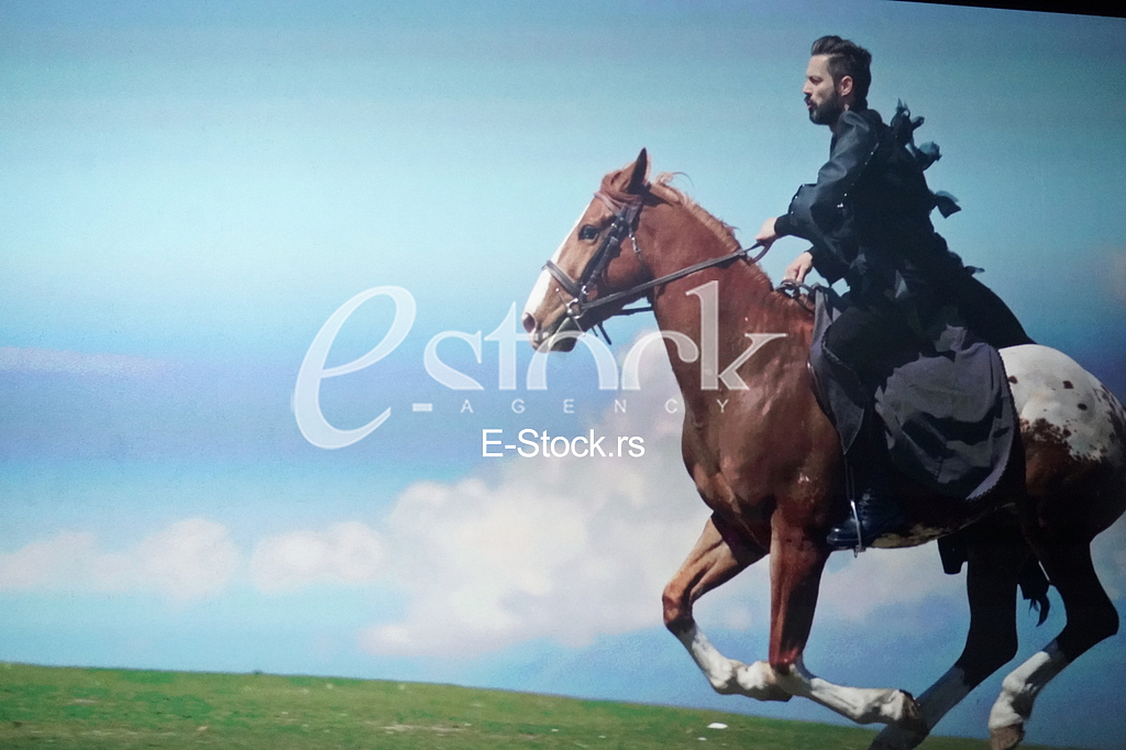 Milan Vasic Milan Vasic