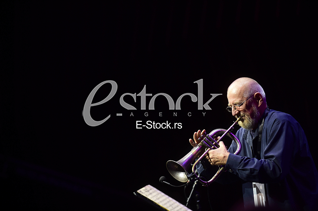 Stjepko Gut