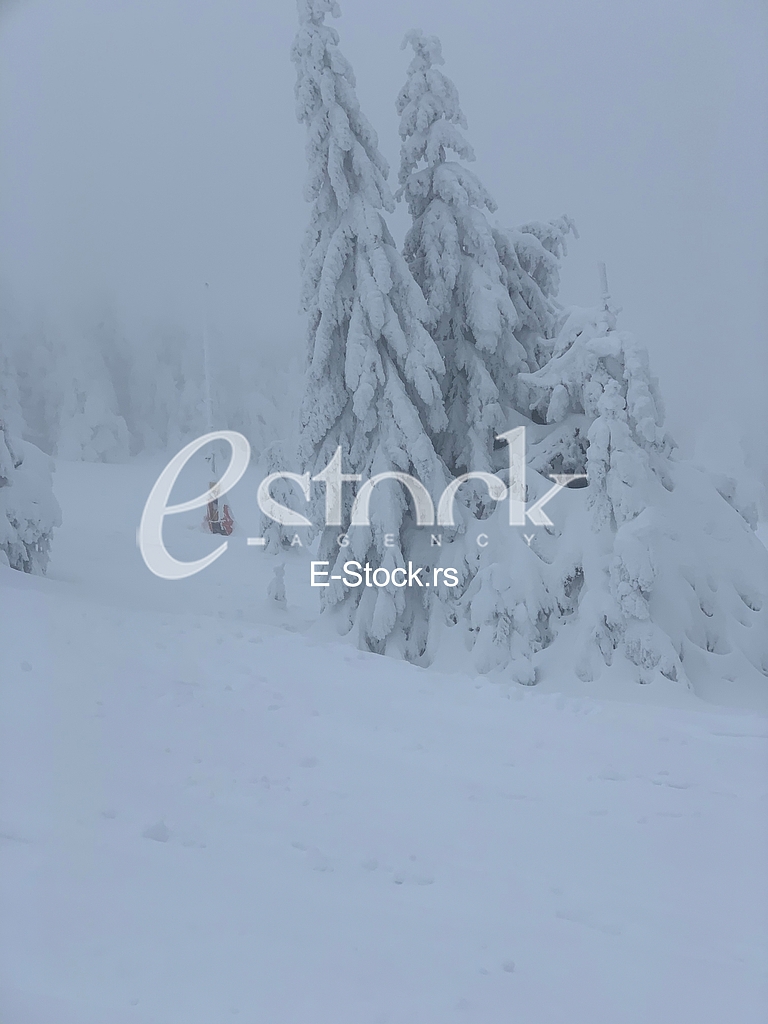 Kopaonik ski staza, Jaram Kopaonik ski staza, Jaram