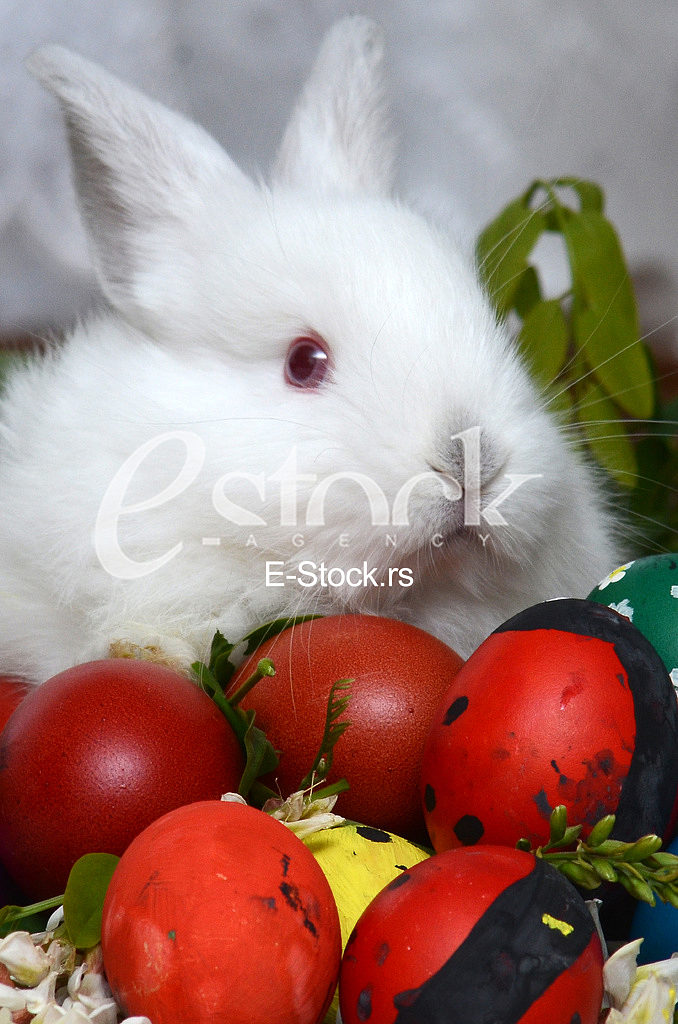 Easter eggs Easter eggs