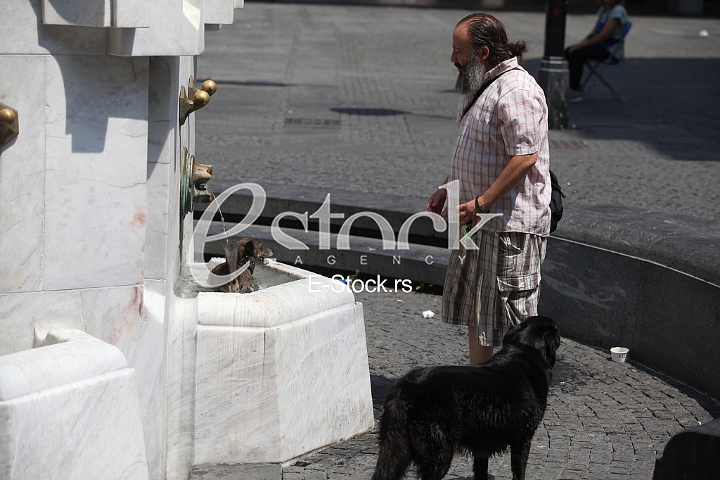 Vrucina u Beogradu Vrucina u Beogradu