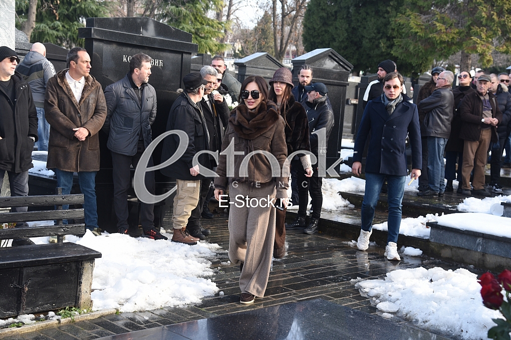 Svetlana Ceca Raznatovic