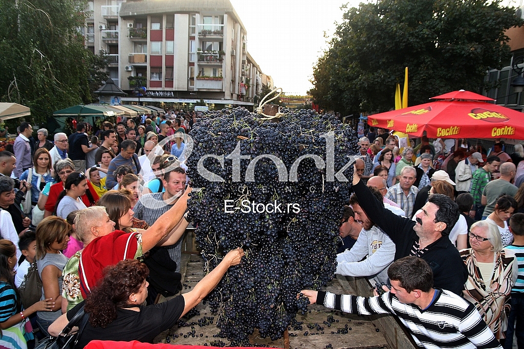 The festive parade on the occasion of Smederevo Autumn The festive parade on the occasion of Smederevo Autumn
