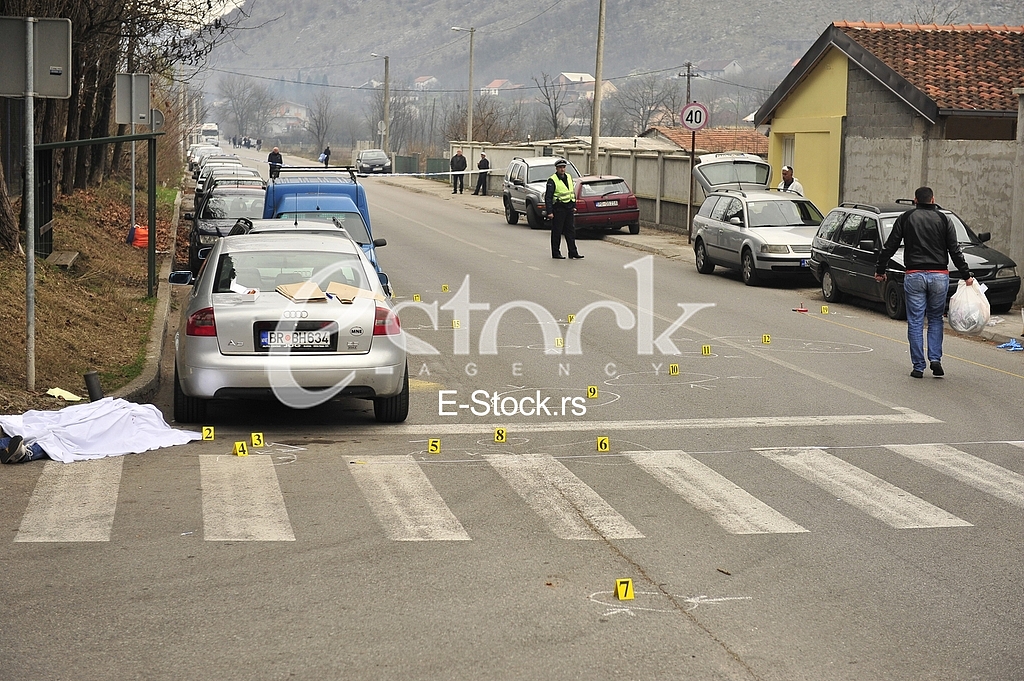 Murder of Andrija Mrdak