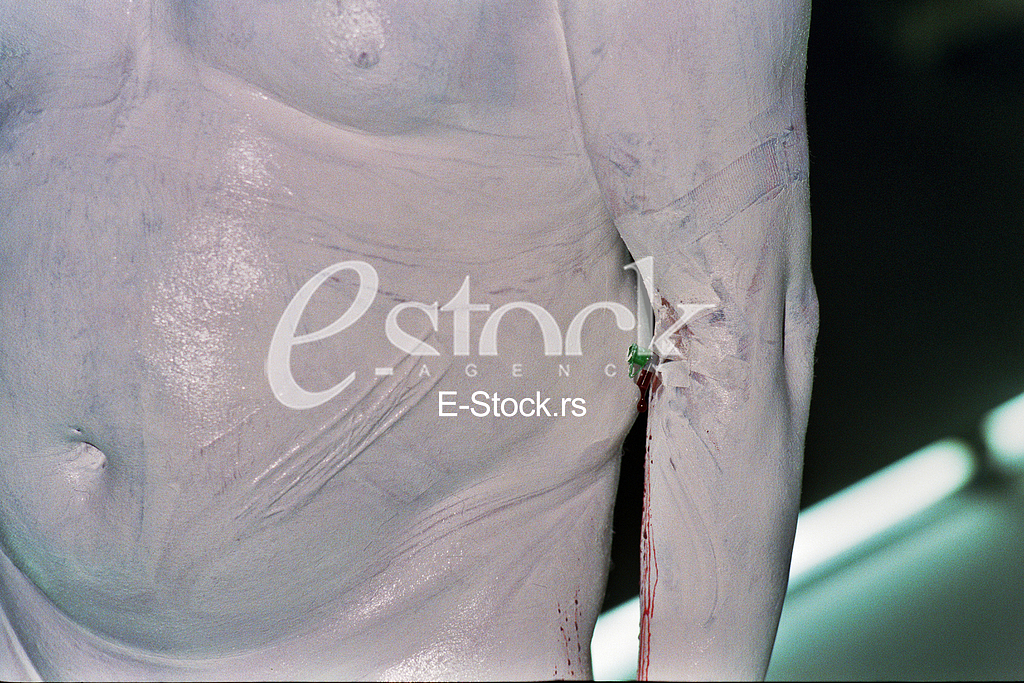 artist Franko B artist Franko B