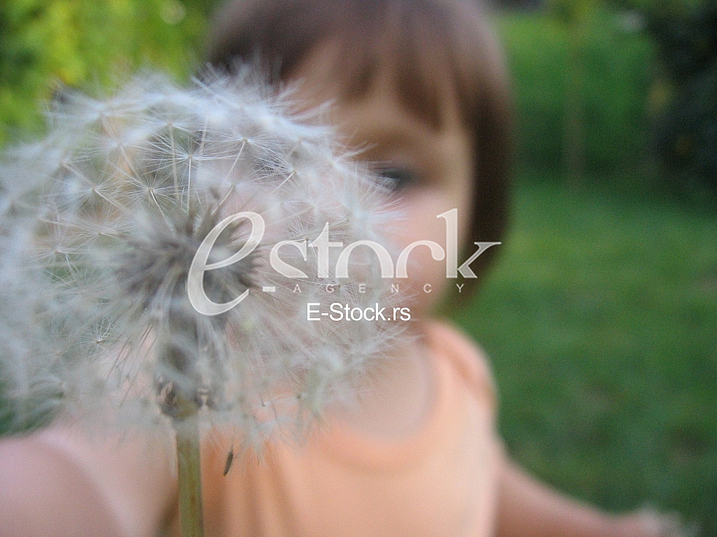 child and dandelion