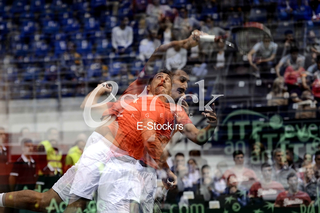 Davis Cup_Nenad Zimonjic_Photo_e-stock_Katarina Cvijovic